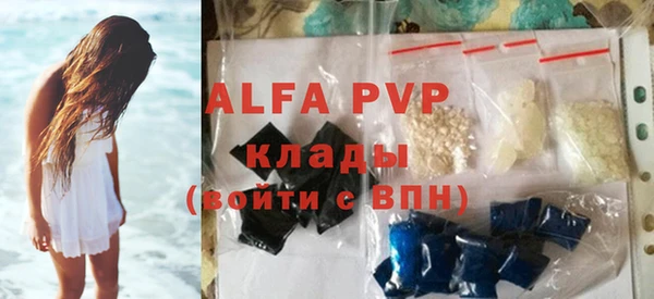 СК Алексин