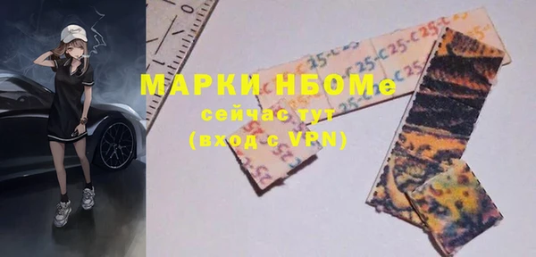 стаф Алзамай