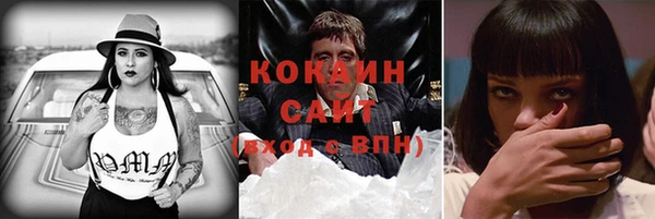 стаф Алзамай