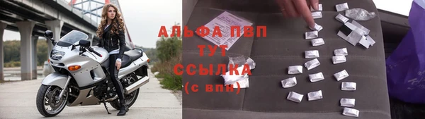 СК Алексин