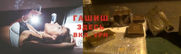 индика Абаза