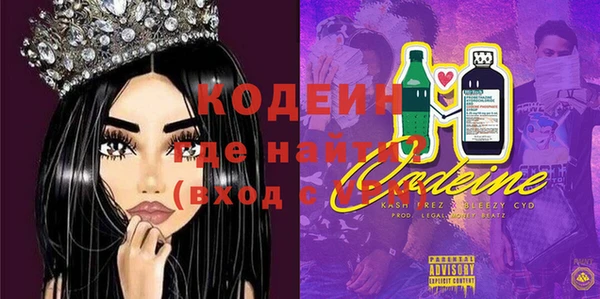 стаф Алзамай