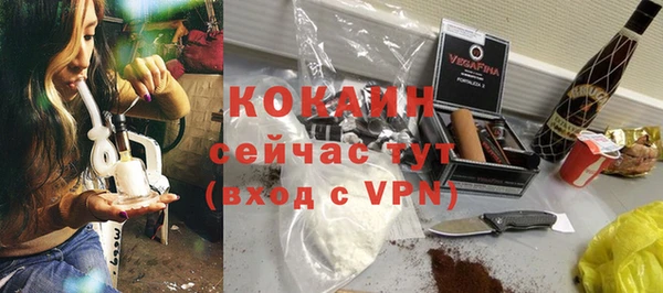 индика Абаза