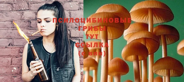 индика Абаза