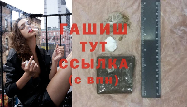 СК Алексин